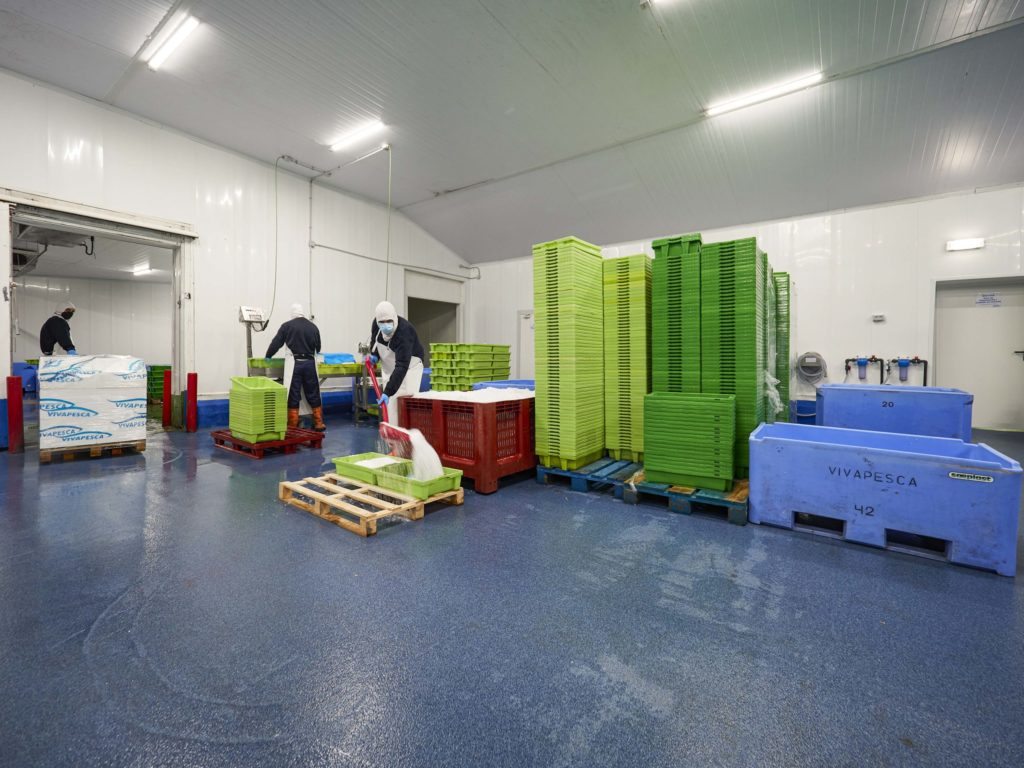 Interior de las instalaciones de Vivapesca