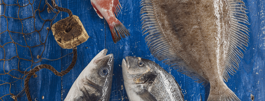 Dorada, lubina, rodaballo y otros pescados frescos sobre madera azul con una red de pesca