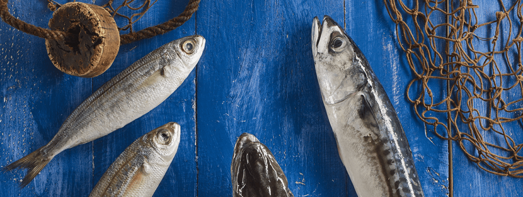 Caballas y otros pescados sobre madera azul con una red de pesca